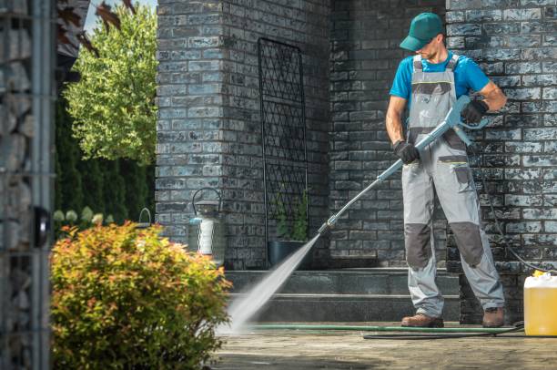 Best Roof Washing  in Momence, IL